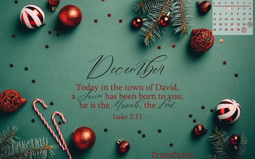 December 2021 - Luke 2:11