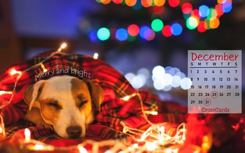 December 2019 - Christmas Lights