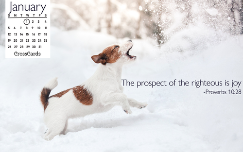 Beautiful January Desktop & Mobile Wallpaper - Free Backgrounds