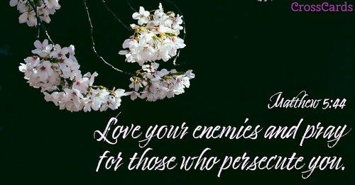 Matthew 5:44