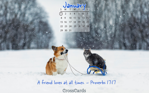 January 2023 - Friends
