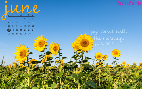June 2023 - Sunflowers