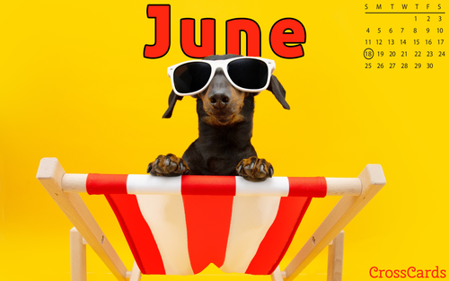 June 2023 - Summer Dog