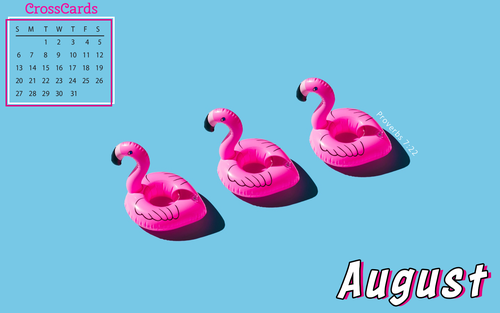 August 2023 - Flamingos
