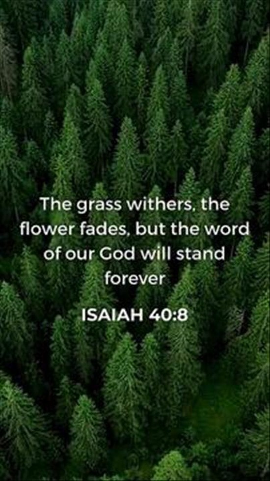 Isaiah 40:8 grass withers, the flower fades, but the word of our God will stand forever