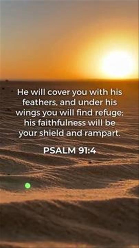 This Psalm 91 brings me the most peace.