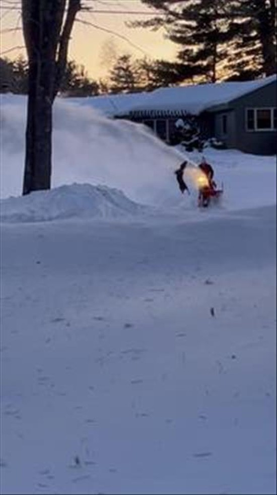 Black Lab Taking on the Snowblower