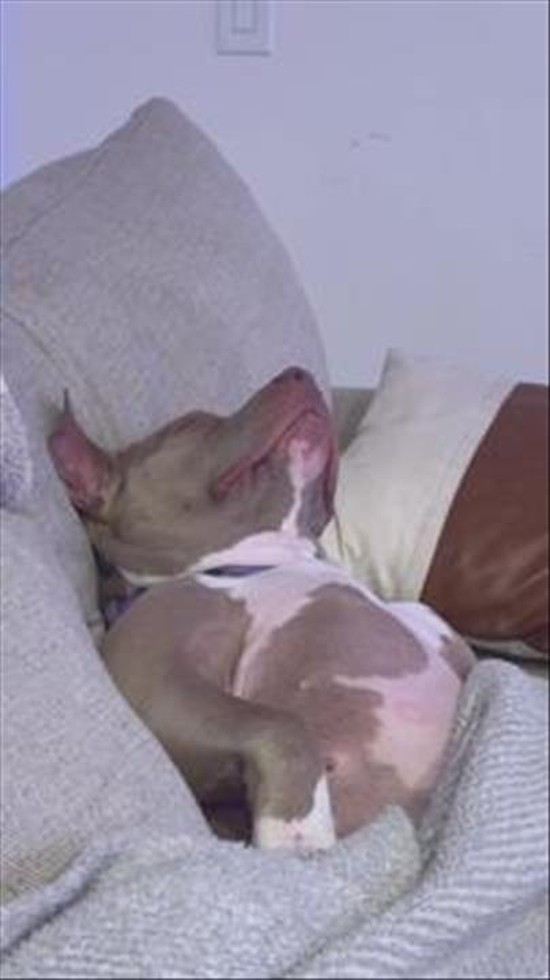 When the Sleep Monster Hits and You Just Can’t Fight Back