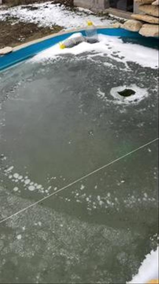 Fish Rescue Goes Wrong