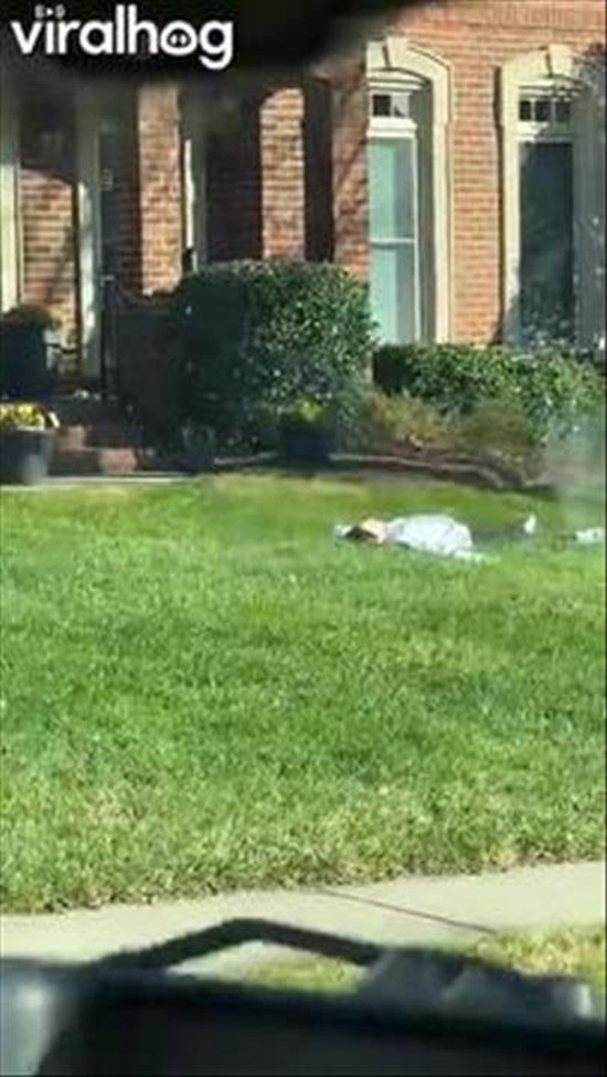 Your Sister Who Lives in NYC Comes Back Home for the Holidays