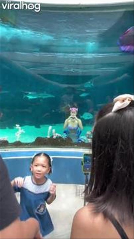 Mermaid Anica Forgot She Needs to Breathe