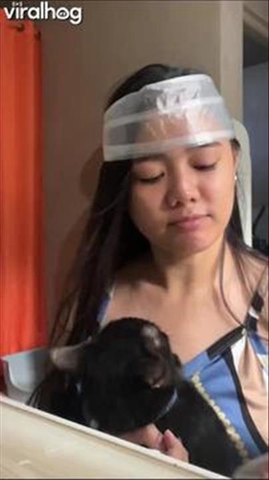 Tasty Trick to Distract Cat While Trimming Nails