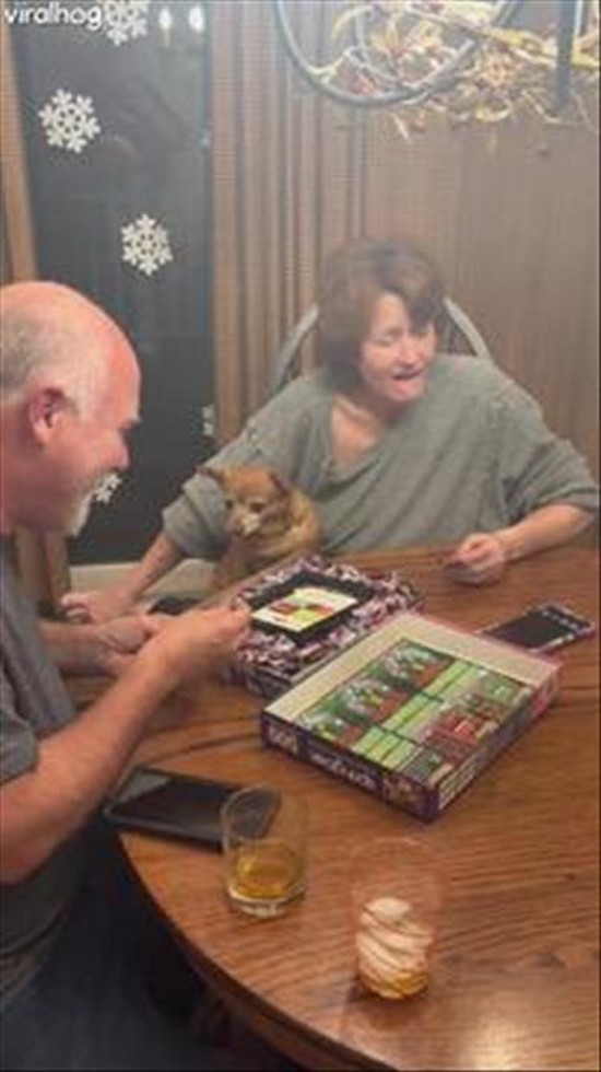 500 Piece Puzzle Individually Wrapped