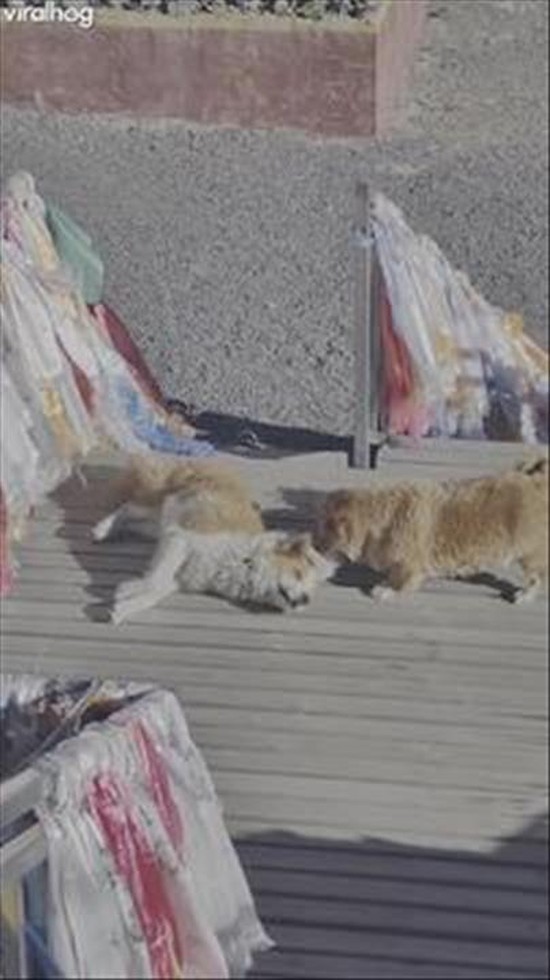 POV: Trying to Get Your Indoorsy Friend to Go for a Hike