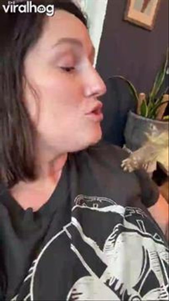 Tortoise Kisses Owner’s Nose