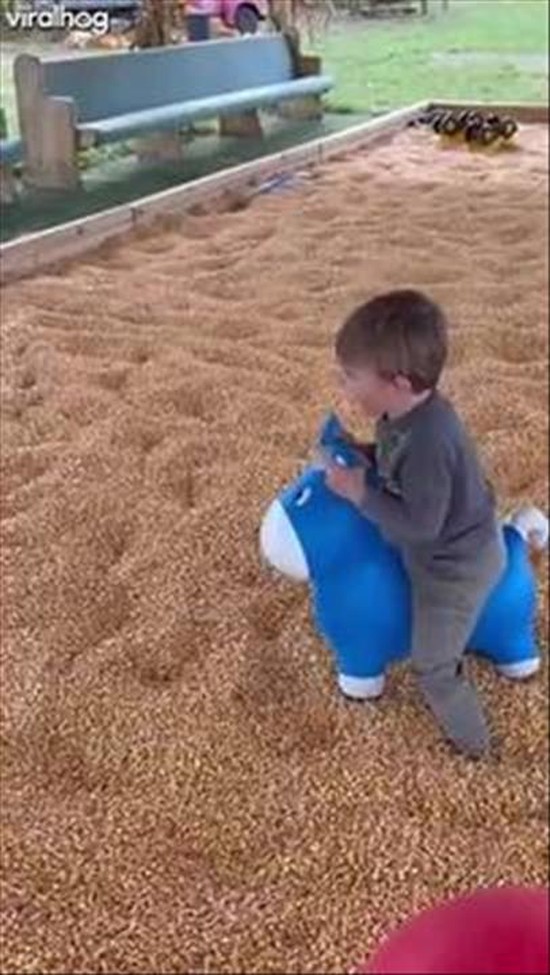  Boy Hops Toy Horse Head-First Into Corn
