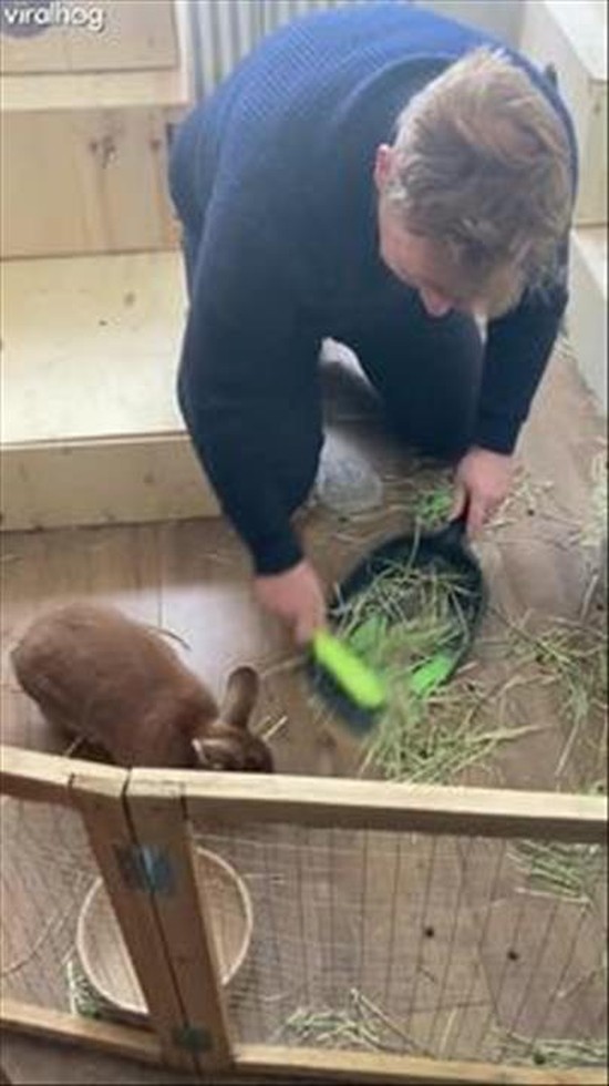  Peanut Does NOT Want Her Cage Cleaned