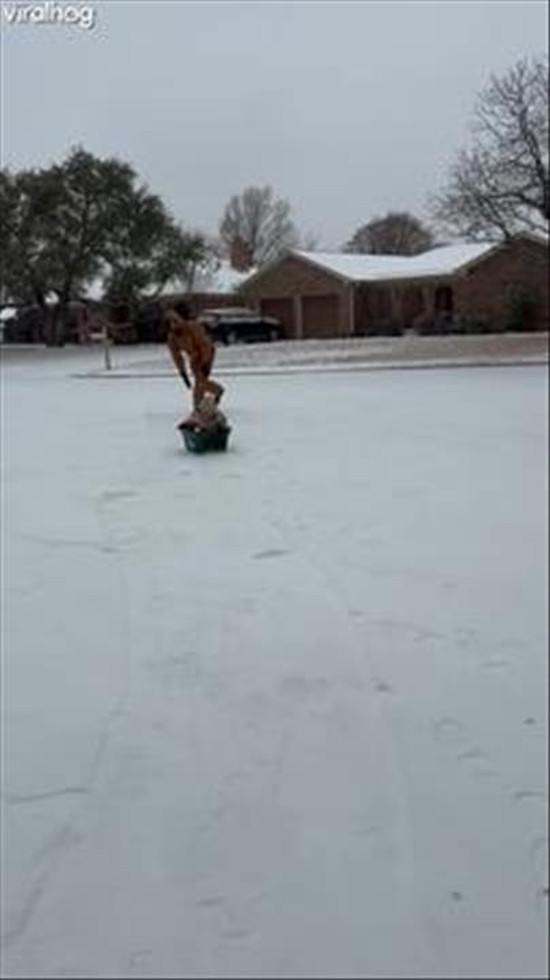 Laundry Basket Sled