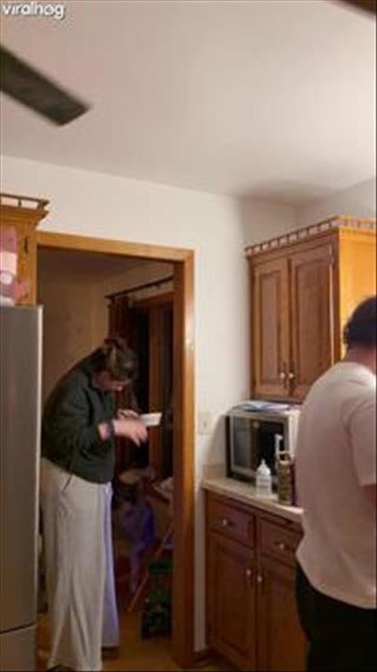 Wife Walks Into Tape