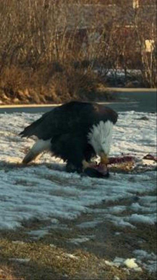 Breakfast for Champions