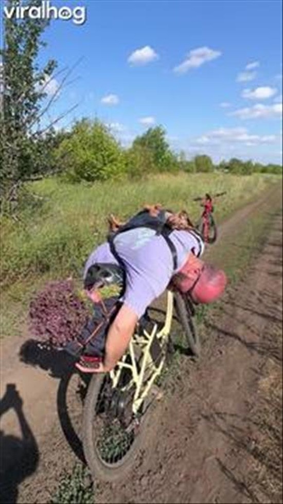 Happy Dachshund's Backpack Bicycle Journey
