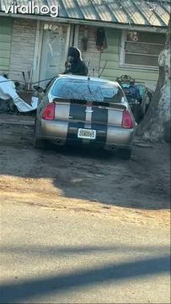 How to Roll Up a Water Hose 101