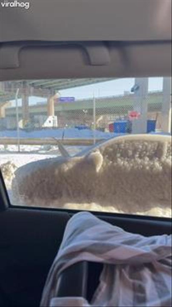 Frozen Car in Philadelphia