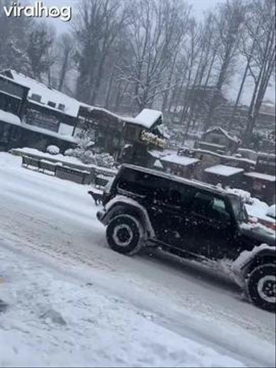 Skier Pulled By Dogs Through Downtown Gatlinburg