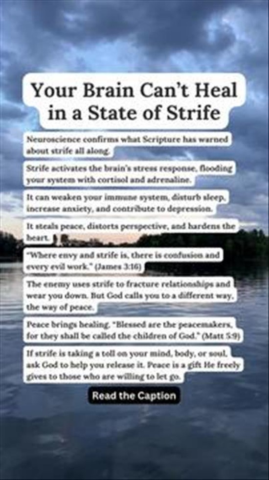 Your Brain Can't Heal in a State of Strife