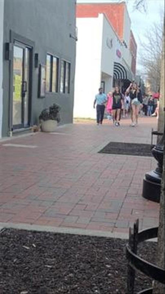 Plant Man Strikes Again