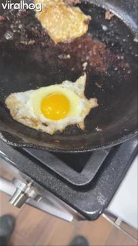 U.S. Egg