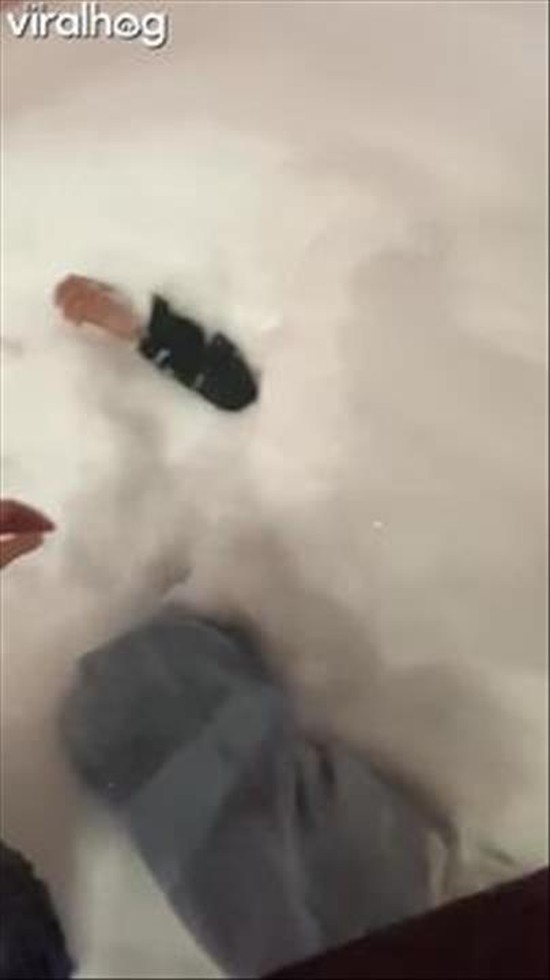 Giggles From the Depths of Snow