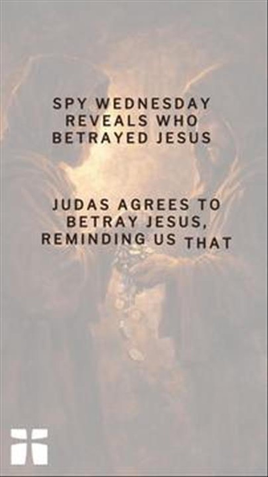 Have you ever taken time to truly walk through Holy Week?