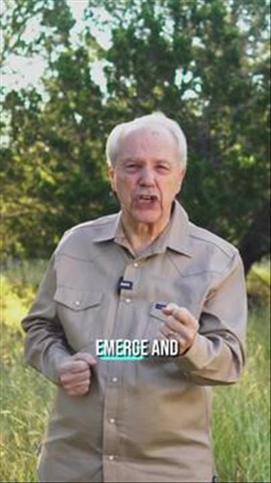 Sin, Cry, Deliver — Israel’s Early Cycle of Rescue