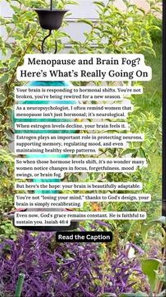 Menopause and Brain Fog? Here's What's Really Going On