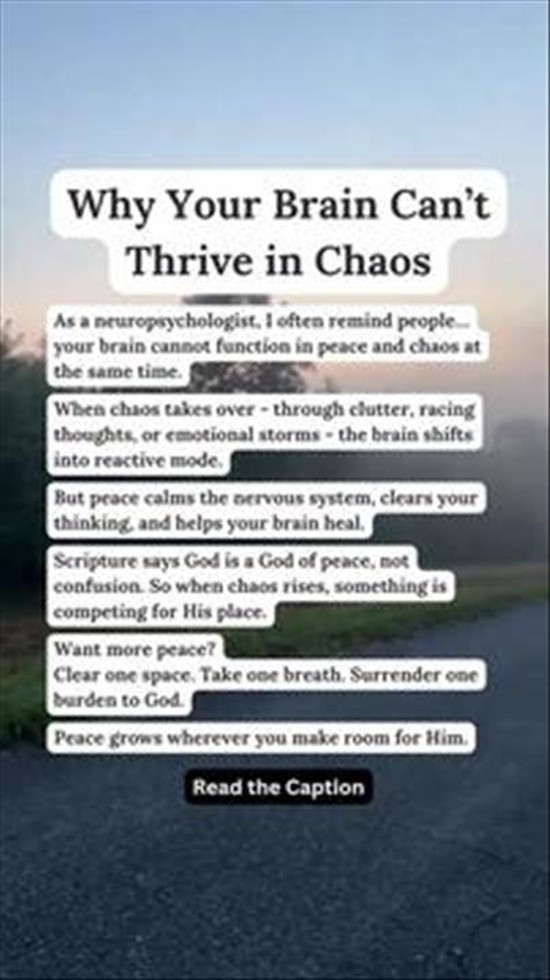 Why Your Brain Can't Thrive in Chaos