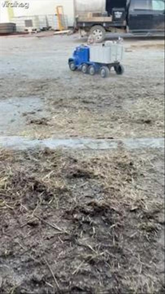 Daughter's Goat Transport