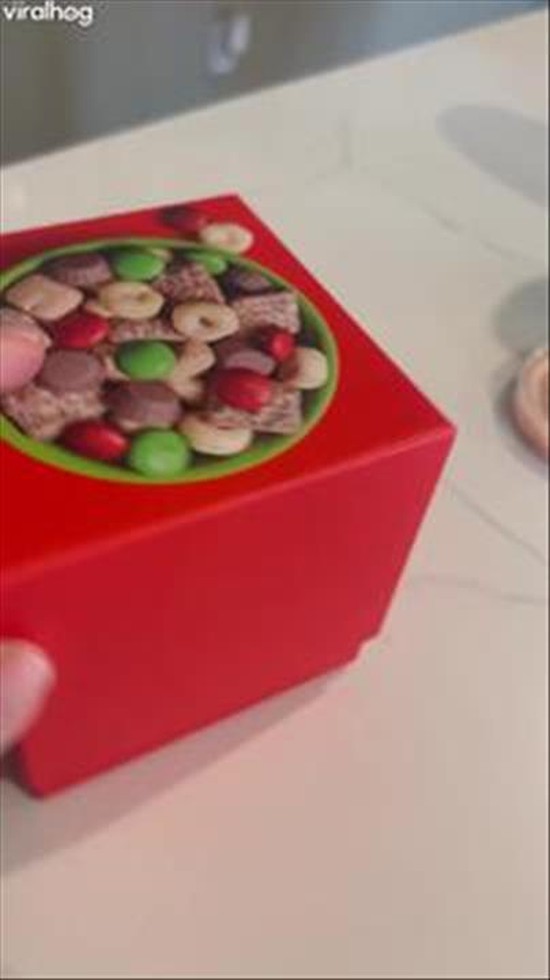 Puzzle Snack Fail