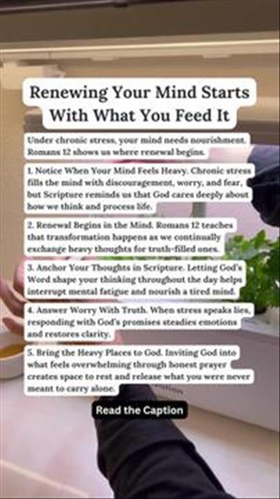 Renewing Your Mind Starts with What You Feed It