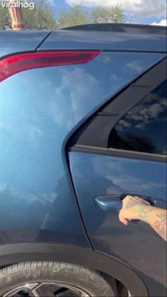 Pup Confidently Launches Out From Opened Car Door