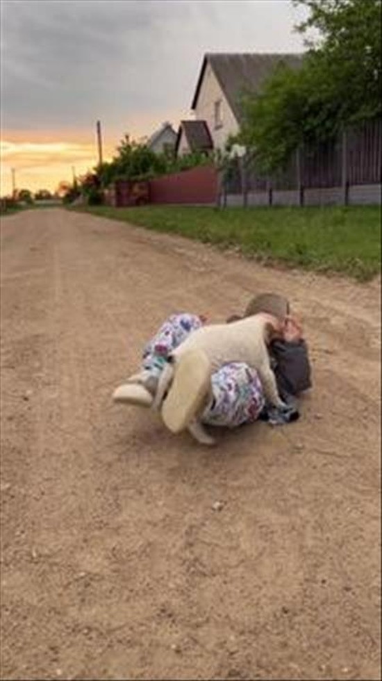 Boy and Puppy Play Together
