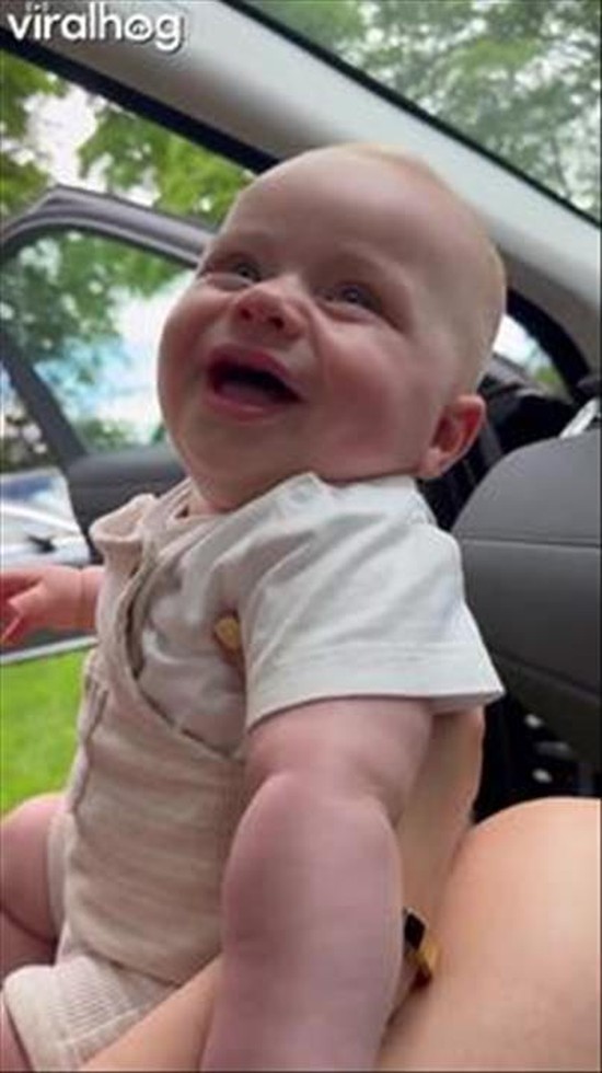 Every Word Make Baby Laugh