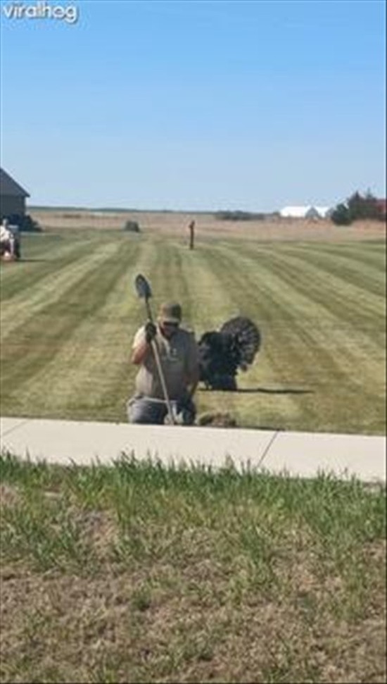 Turkey in Stealth Mode