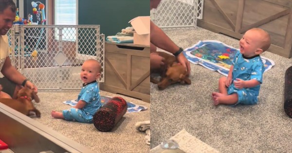 Baby Meets Dog and Can't Stop Laughing