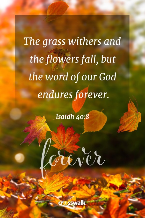 15 Beautiful Fall Bible Verses for the Autumn Season - Bible Study