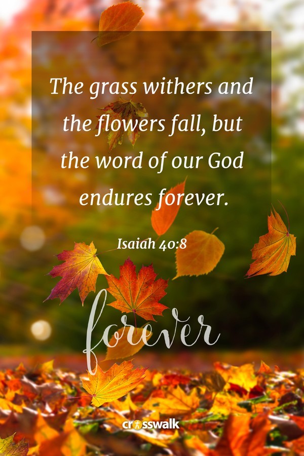 15 Beautiful Fall Bible Verses For The Autumn Season Bible Study 15 Beautiful Fall Bible Verses For The Autumn Season Bible Study