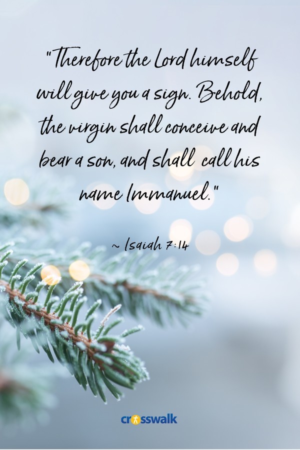 Top 15 Christmas Bible Verses To Share In 2021 Christmas And Advent