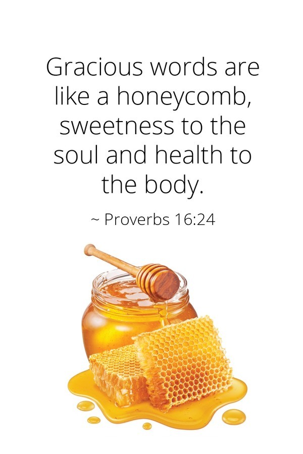 Spreuke 16:24