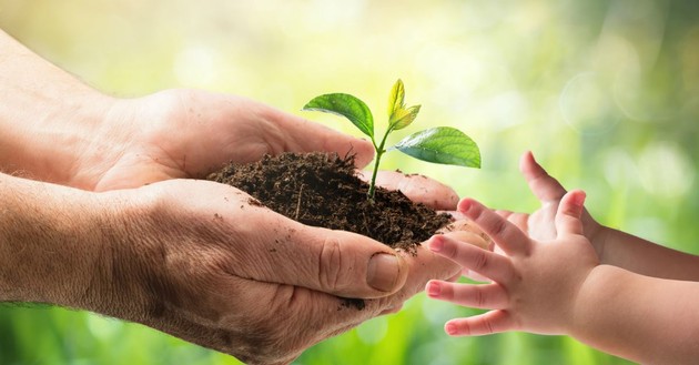 senior hands cupping dirt and sprout, passing to baby's extended hands