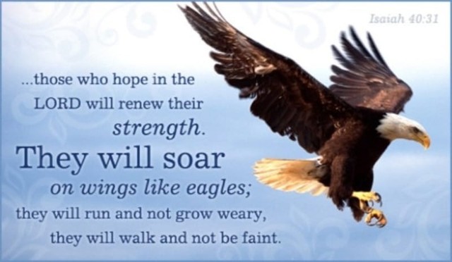 Bible Verses About Eagles